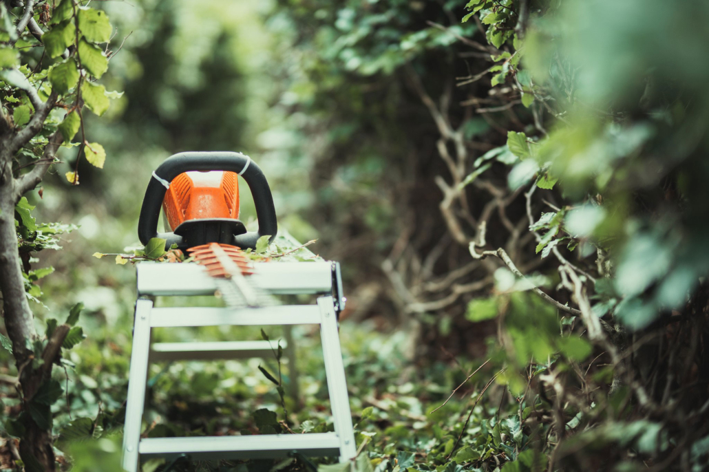 groenne Vedligeholdelse af grønne områder