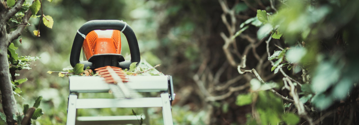 Vedligeholdelse af grønne områder